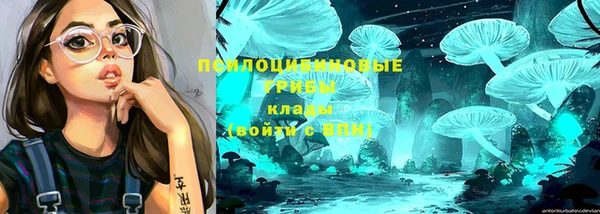 а пвп мука Баксан