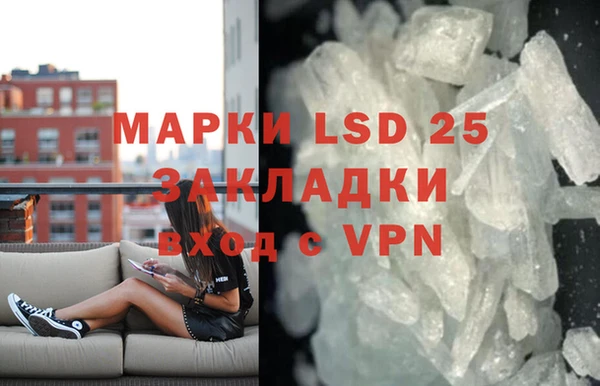 стафф Касимов