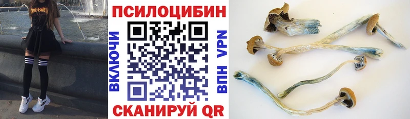 Псилоцибиновые грибы MAGIC MUSHROOMS  Курганинск 